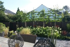 Cox Hoveniers moderne tuin